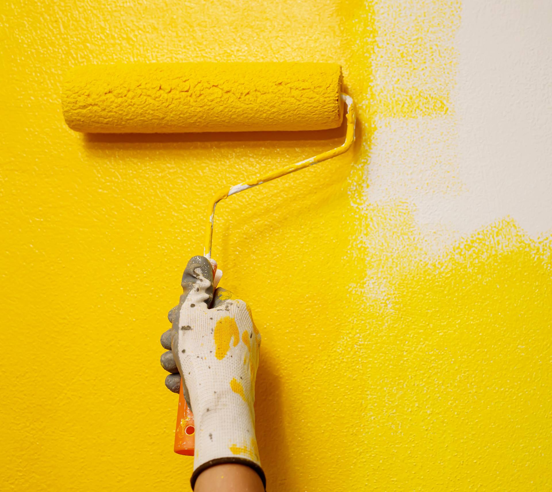 Prestation de peinture intérieure à Angoulême